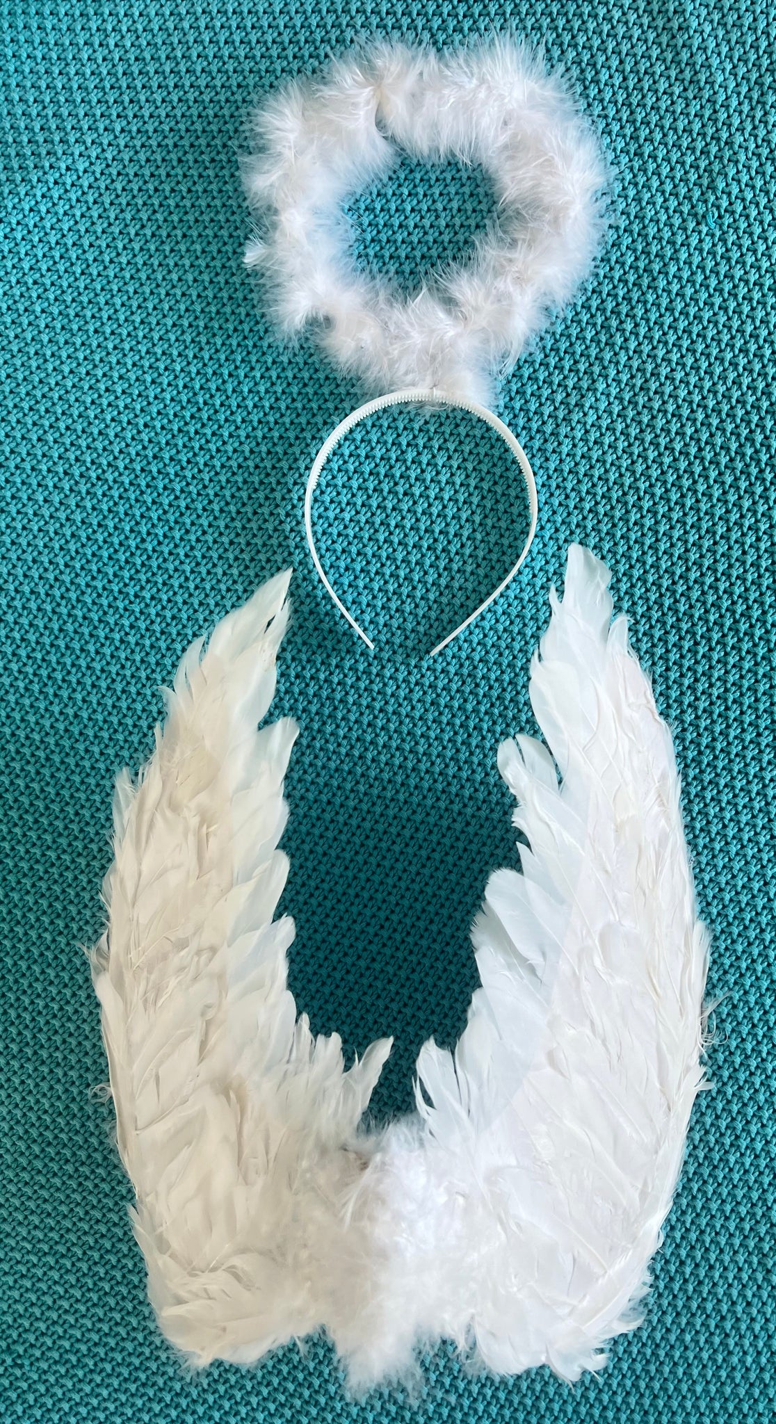 Angel Wings and Halo Set - White
