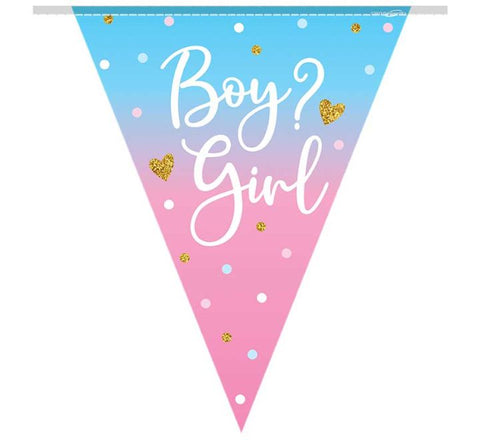 Gender reveal Boy or Girl Bunting - Unique Party Supplies NZ