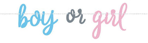 Gender Reveal Banner - Boy or Girl - Unique Party Supplies NZ